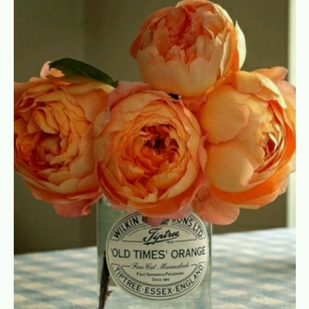 Meet your Posher, Karla